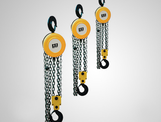 Customized 1 Ton / 5 Ton Electric Chain Hoist , Electric Winch Hoist Easy To Handle